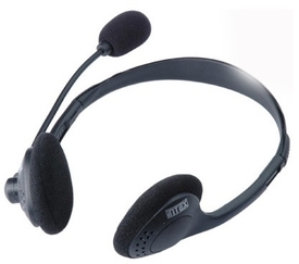 intex-standard