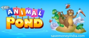 the-animal-pond