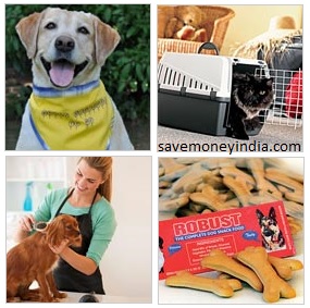pet-food-accessories