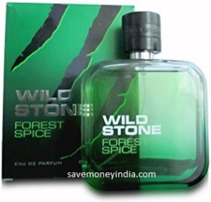 wildstone-forest