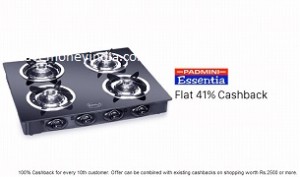 padmini41