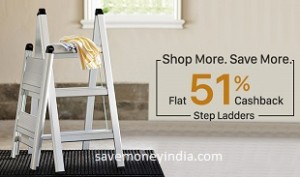 ladders51
