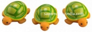 mee-turtle