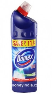 domex-toilet