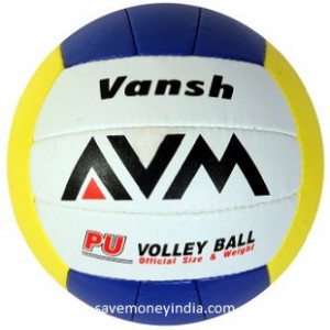 avm-volley