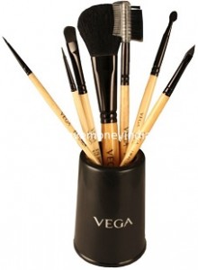 vega-brush7