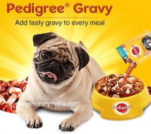 pedigree-gravy