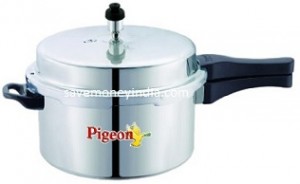 pigeon-calida