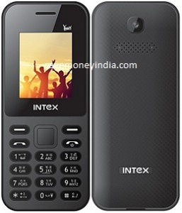 intex-yaari