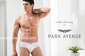 park-inner