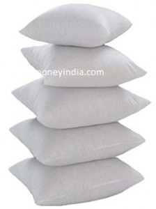 christys-cushion