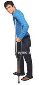 flamingo-crutches