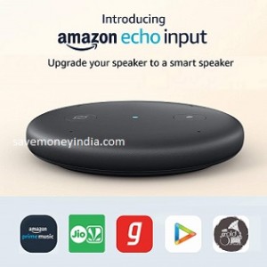 echo-input