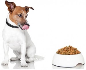 dog-food