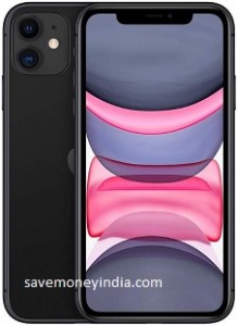 apple-11