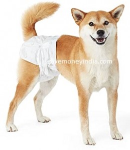 dog-diaper