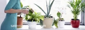 indoor