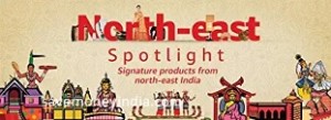 northeast-spot